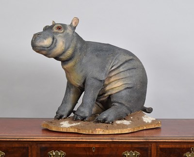 Lot 193 - Taxidermy: Hippopotamus Calf (Hippopotamus...