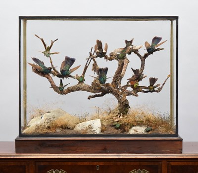 Lot 205 - Taxidermy: A Late Victorian Diorama of...