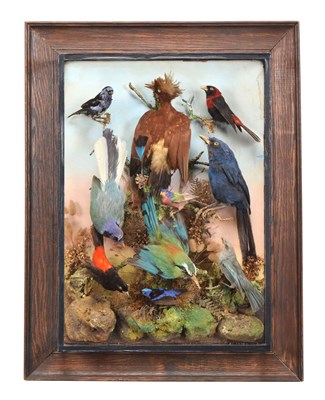 Lot 207 - Taxidermy: A Late Victorian Wall Case of North...