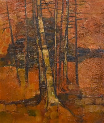 Lot 1218 - David Wild (Contemporary) Silver birch trees...