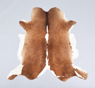 Lot 198 - Hides/Skins: Nguni Cow Hide Rug, (Bos taurus),...