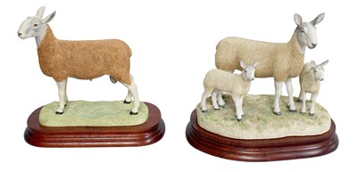 Lot 84 - Border Fine Arts 'Blue Faced Leicester Tup'...