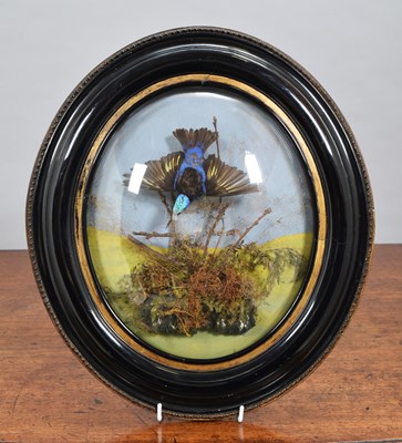 Lot 1251 - Taxidermy: A Late Victorian Bubble-Domed...