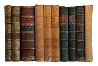 Lot 64 - Lowe (E.J.). Ferns: British and Exotic. Mixed...