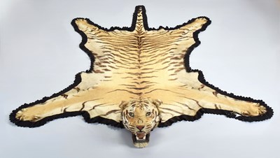 Lot Taxidermy: Bengal Tiger Skin Rug (Panthera...