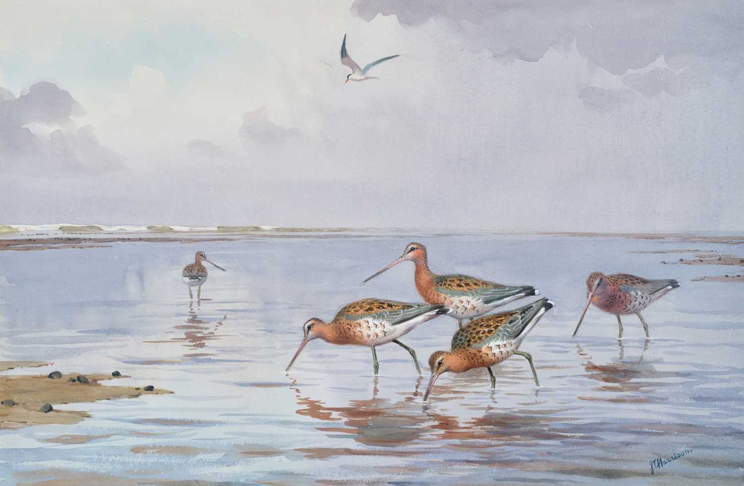 Lot 1032 - John Cyril Harrison (1898-1985) "Black-tailed...