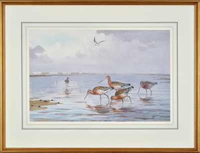 Lot 1032 - John Cyril Harrison (1898-1985) "Black-tailed...