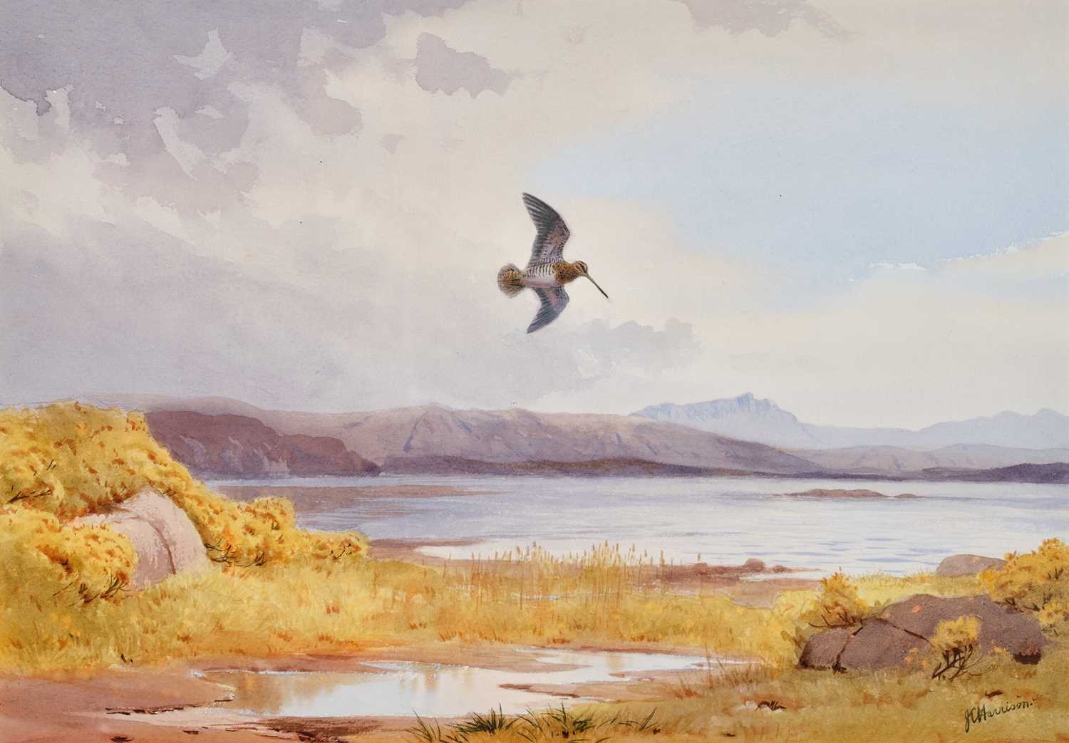 Lot 1033 - John Cyril Harrison (1898-1985) "Snipe by the...