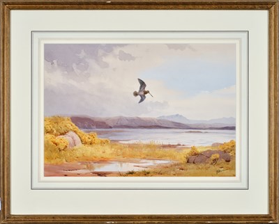 Lot 1033 - John Cyril Harrison (1898-1985) "Snipe by the...