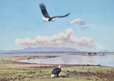 Lot 1028 - John Cyril Harrison (1898-1985) "Fish, Eagle...