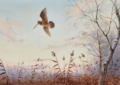 Lot 1030 - John Cyril Harrison (1898-1985) "Woodcock,...