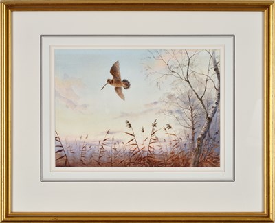 Lot 1030 - John Cyril Harrison (1898-1985) "Woodcock,...