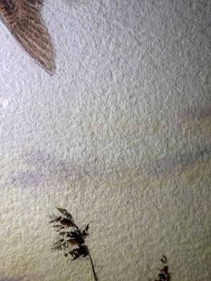 Lot 1030 - John Cyril Harrison (1898-1985) "Woodcock,...