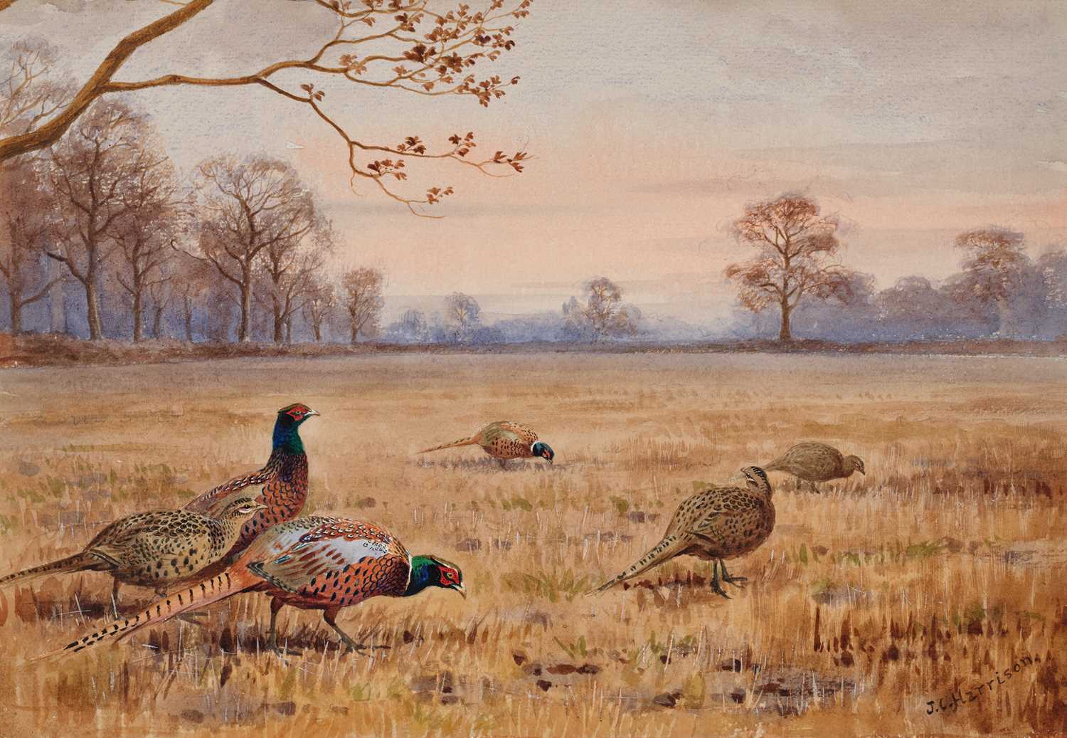 Lot 1034 - John Cyril Harrison (1898-1985) "Pheasants"...