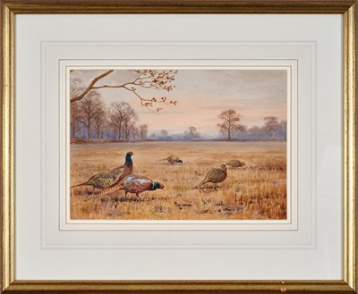 Lot 1034 - John Cyril Harrison (1898-1985) "Pheasants"...