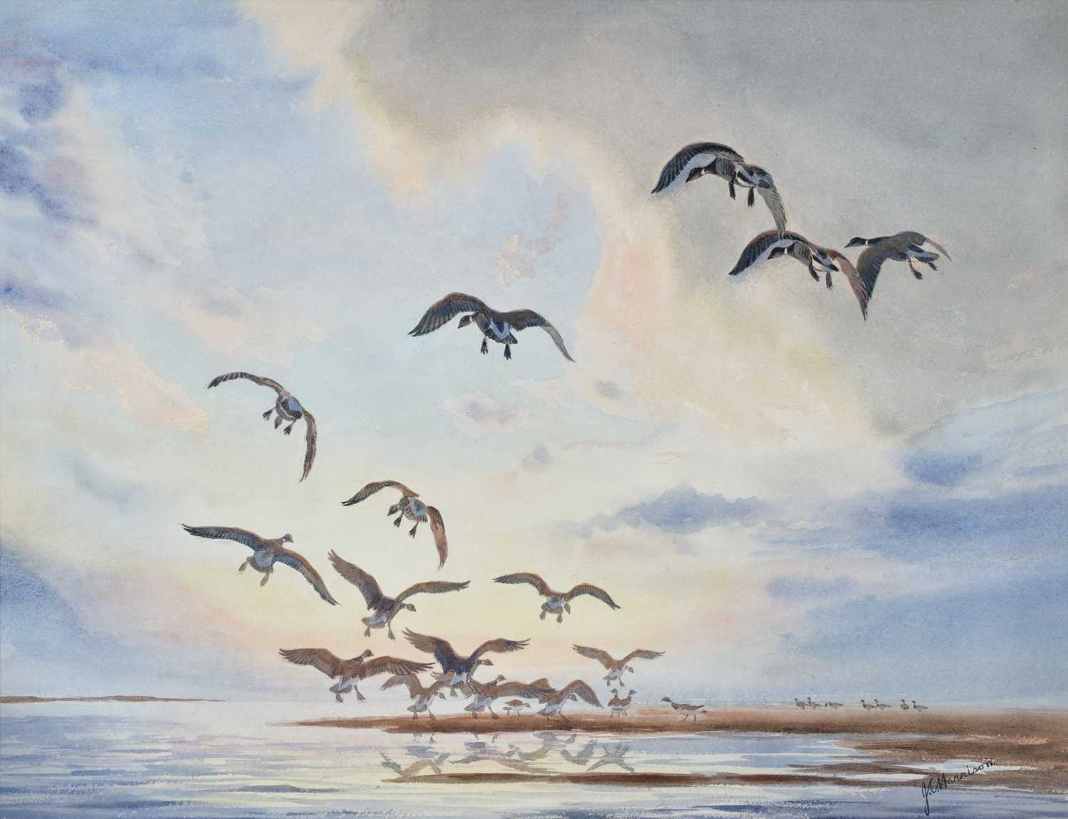 Lot 1031 - John Cyril Harrison (1898-1985) "Brent Geese...