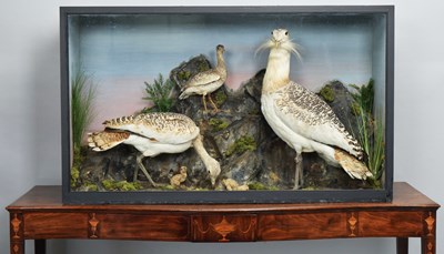 Lot 181 - Taxidermy: A Late Victorian Cased Pair of...