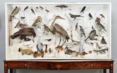 Lot 158 - Taxidermy: A Large Late Victorian Case of...
