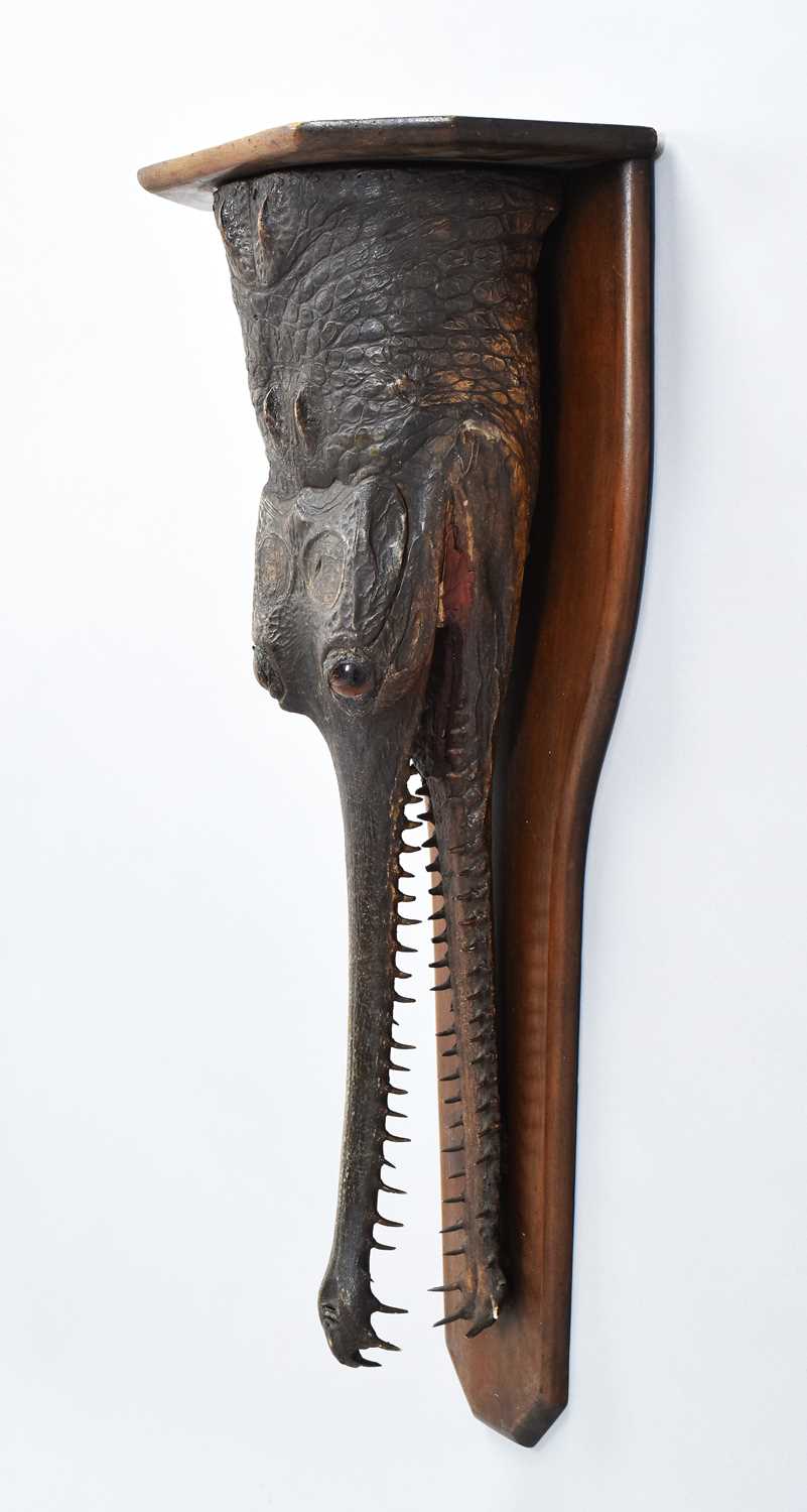 Lot 80 - Taxidermy: A Late Victorian Gharial Crocodile...