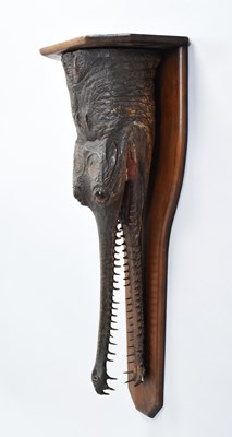 Lot Taxidermy: A Late Victorian Gharial Crocodile...