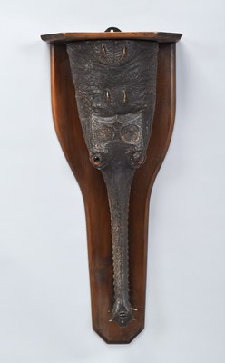 Lot 80 - Taxidermy: A Late Victorian Gharial Crocodile...