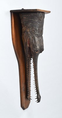 Lot 80 - Taxidermy: A Late Victorian Gharial Crocodile...