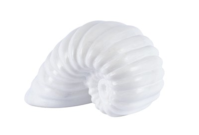 Lot 146 - Darren Yeadon (b.1970) Ammonite Signed,...