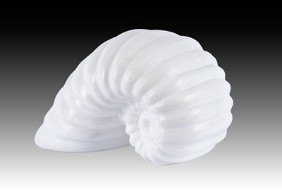 Lot 146 - Darren Yeadon (b.1970) Ammonite Signed,...