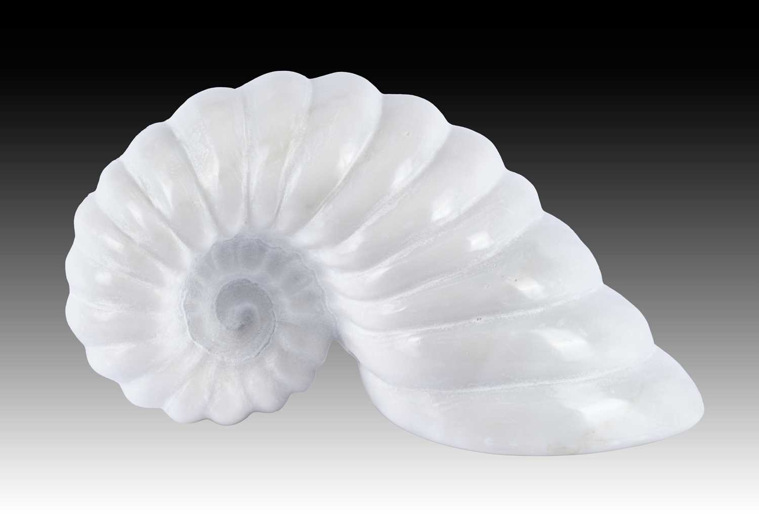 Lot 146 - Darren Yeadon (b.1970) Ammonite Signed,...