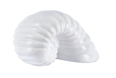 Lot 146 - Darren Yeadon (b.1970) Ammonite Signed,...