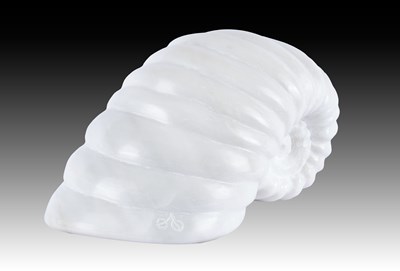 Lot 146 - Darren Yeadon (b.1970) Ammonite Signed,...