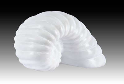 Lot 146 - Darren Yeadon (b.1970) Ammonite Signed,...