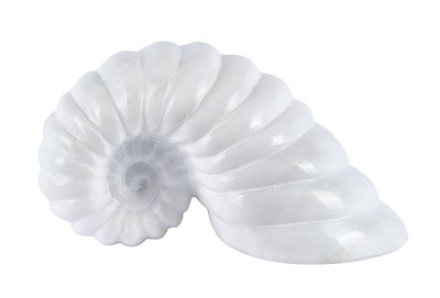 Lot 146 - Darren Yeadon (b.1970) Ammonite Signed,...