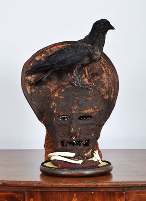 Lot 411 - Taxidermy: A Carrion Crow on an African Tribal...
