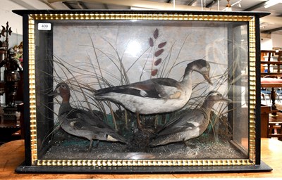 Lot 409 - Taxidermy: A Victorian Cased Wigeon and a pair...