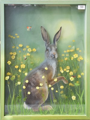 Lot 169 - Bridget Tavener (Contemporary) "Hare" Signed,...
