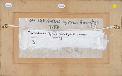 Lot 76 - Piers Browne (1949-2024) “Woodcocks Flypast,...