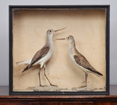 Lot Taxidermy: A Late Victorian Cased Pair of...