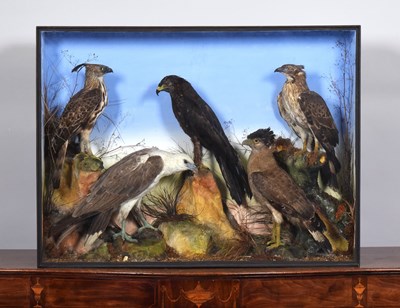Lot Taxidermy: A Late Victorian Cased Display of...