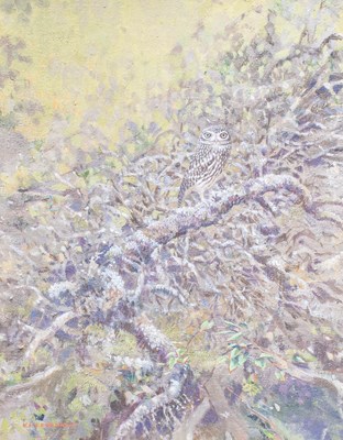 Lot 420 - Kim Franklin (Contemporary) "Little Owl"...