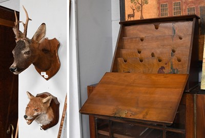 Lot 511 - Taxidermy: European Roebuck, Red Fox Mask and...