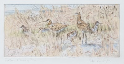 Lot 391 - Peter Partington SWLA (1941-2025) "Curlew...