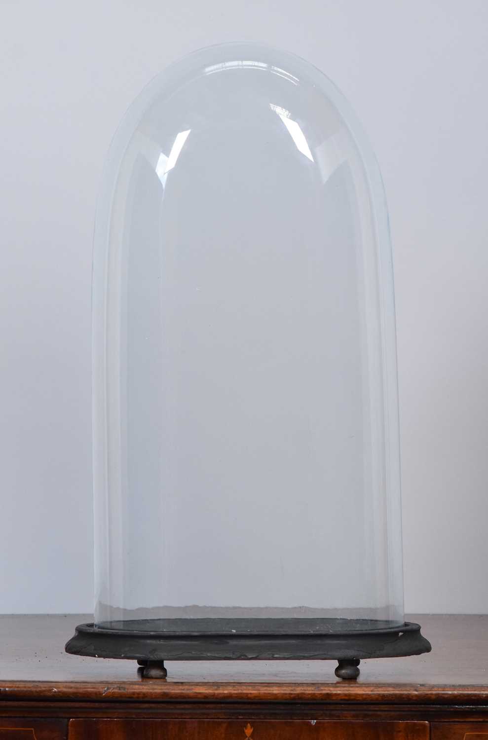 Lot 91 - Glass Dome: A Period Oval Glass Dome, with...