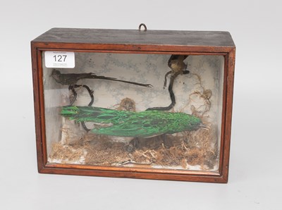 Lot 127 - Taxidermy: A Late Victorian Cased African...