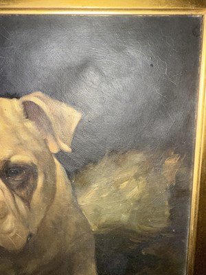 Lot 1050 - Lillian Cheviot (1876-1936) "An Old Man's...