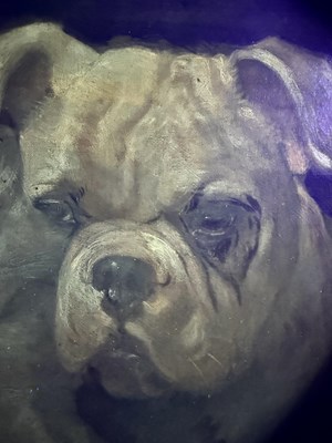 Lot 1050 - Lillian Cheviot (1876-1936) "An Old Man's...