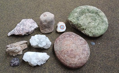 Lot 268 - Geological Samples, including a large ammonite,...