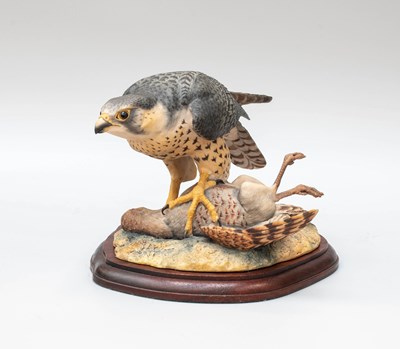 Lot 1107 - Border Fine Arts 'Peregrine Falcon' (Style...