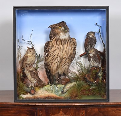 Lot Taxidermy: A Late Victorian Cased Display of...