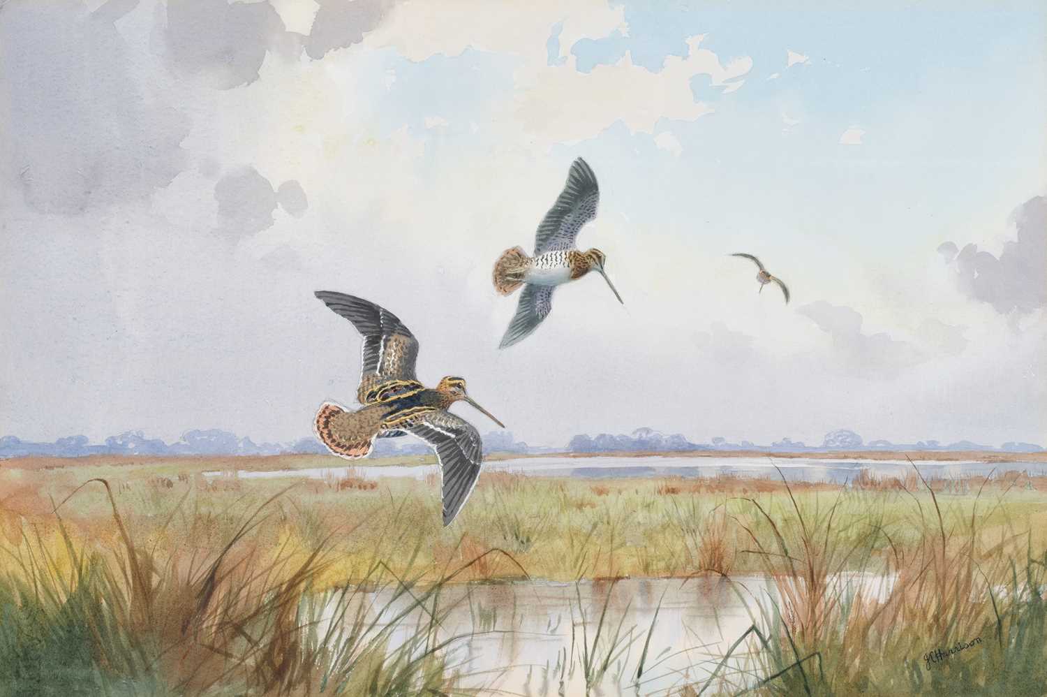 Lot 1029 - John Cyril Harrison (1898-1985) Snipe in...